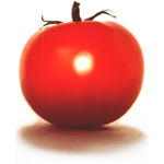 tomato